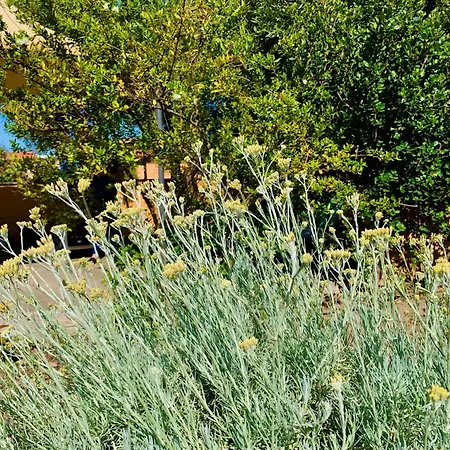 Apartamento S'imperdau