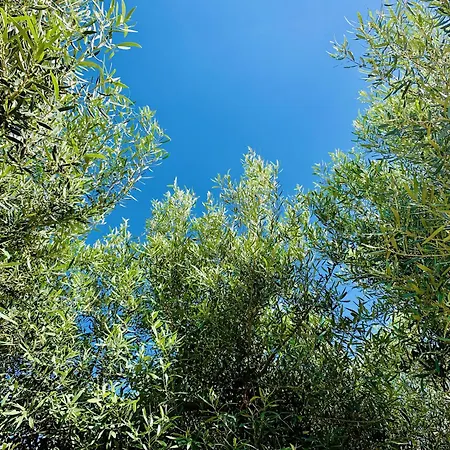 S'imperdau דירה